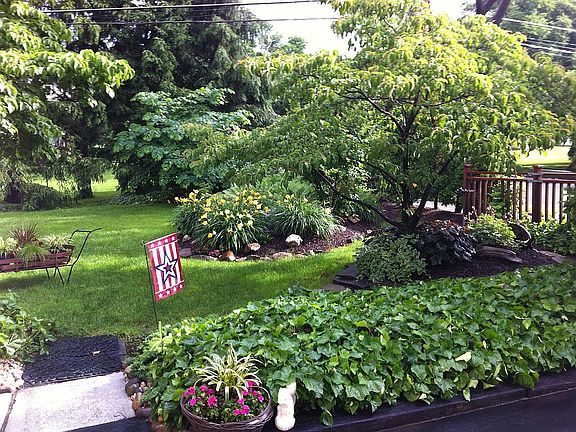 Partial backyard photo.