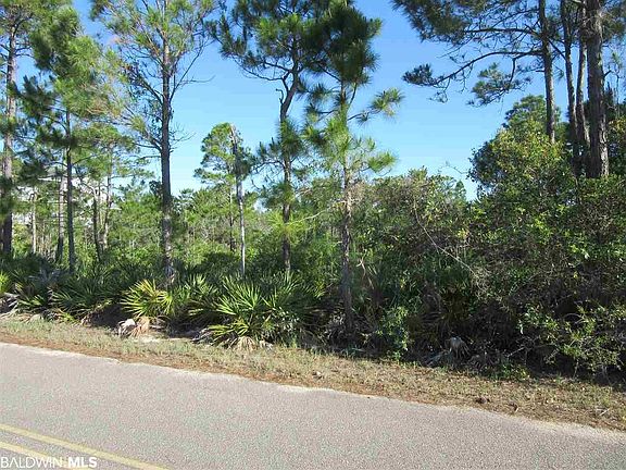 3rd image of Palmetto Drive Ext #U2-l-11