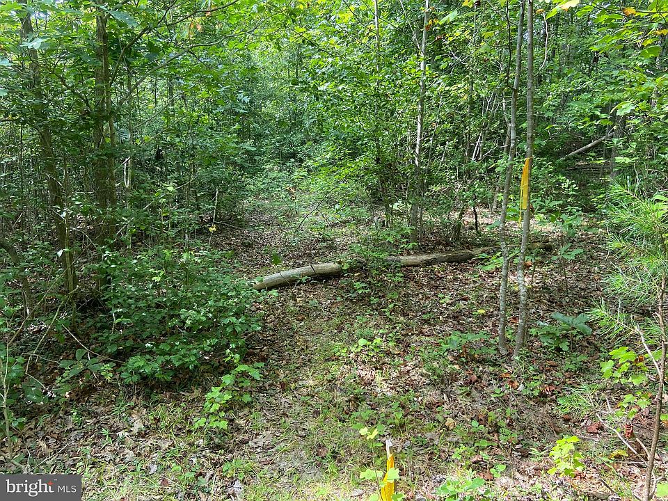 2nd image of 9221 Red Fern Ln