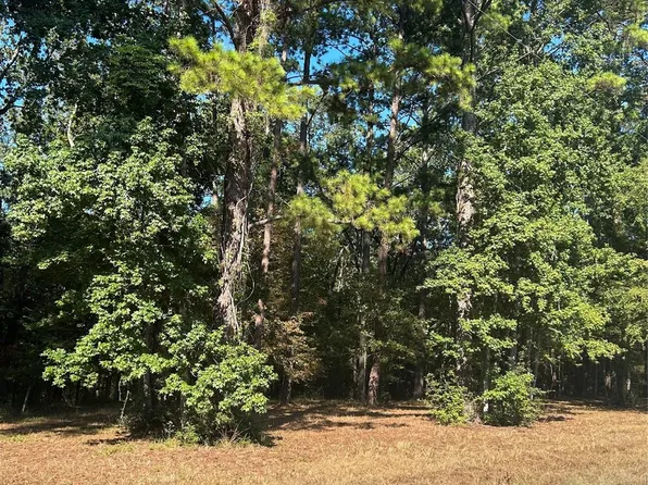 575859 Grand Pine Loop, Livingston, TX 77351