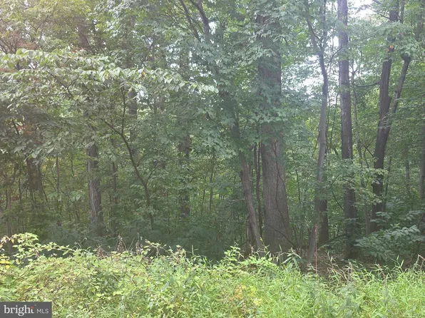 Cherrywood Rd, Front Royal, VA 22630