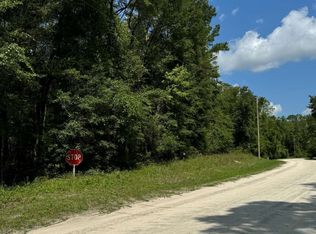 222 SW Loncala Loop, Fort White, FL 32038