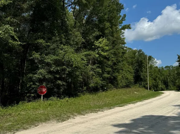 222 SW Loncala Loop, Fort White, FL 32038