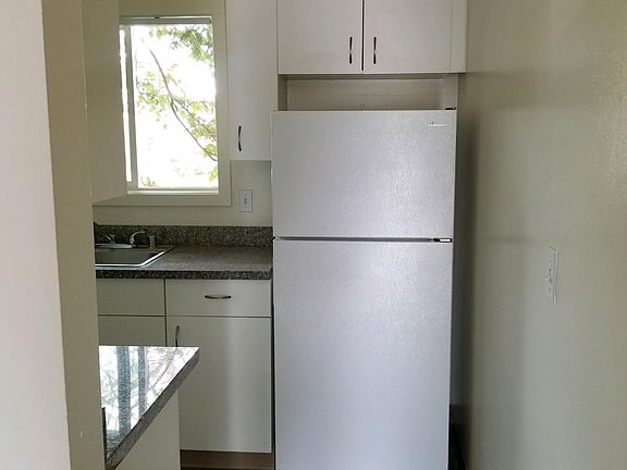 Frost free refrigerator