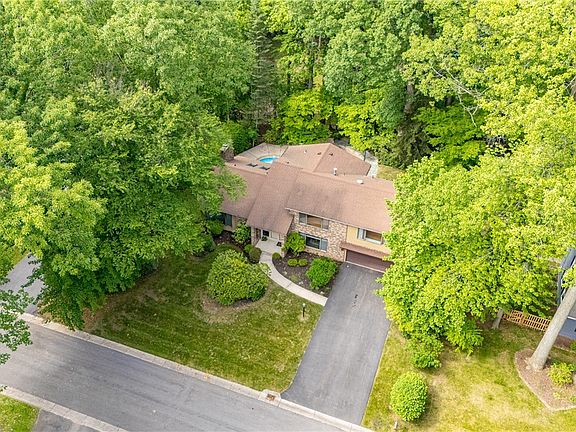 3rd image of 17 Tuliptree Ln