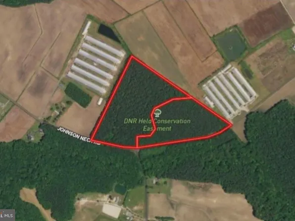 0 Johnson Neck Rd, Pocomoke City, MD 21851
