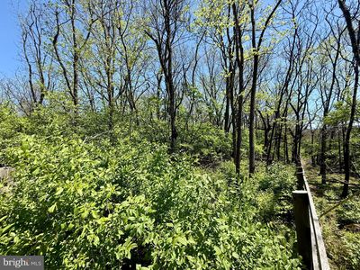 Page Brook Ln, Boyce, VA, 22620