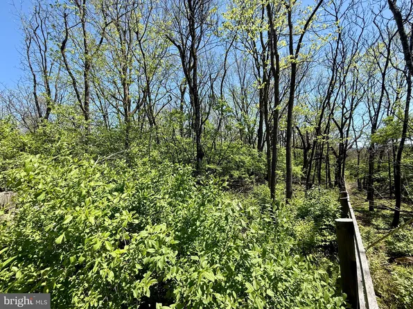 Page Brook Ln, Boyce, VA 22620