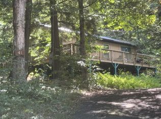 41 Lone Pine Rd, Cranberry Lake, NY 12927