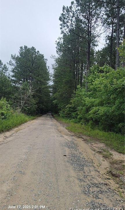 2nd image of 0 Buchanan Ln