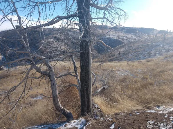 84 Carson Peak Ct, Livermore, CO 80536