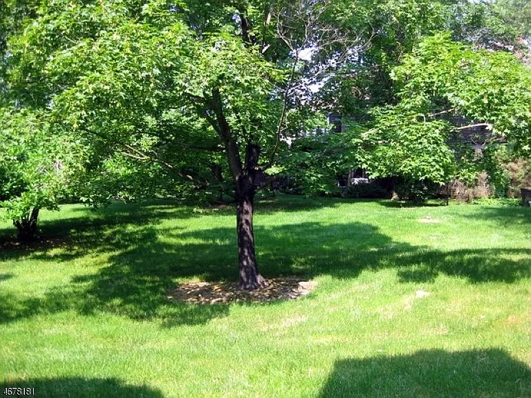 25 Wexford Dr — Photo 11