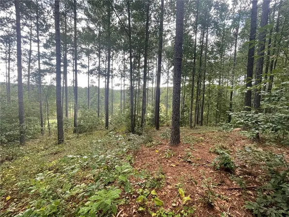 116 Long Ridge Rd, Sunset, SC 29685
