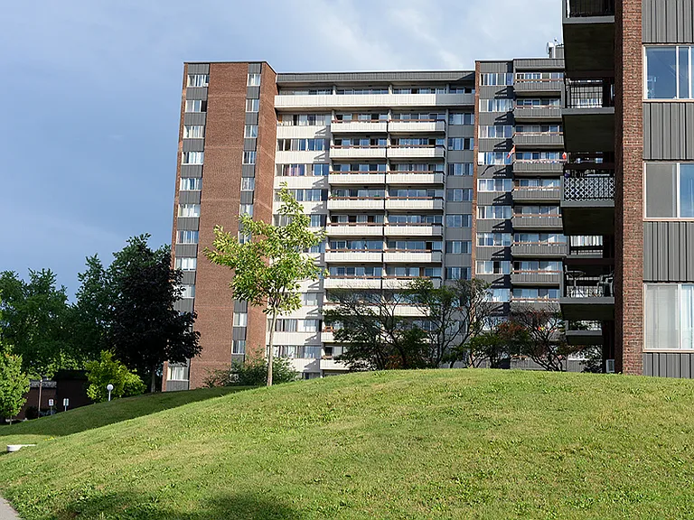 2220 Halifax Dr — Photo 10