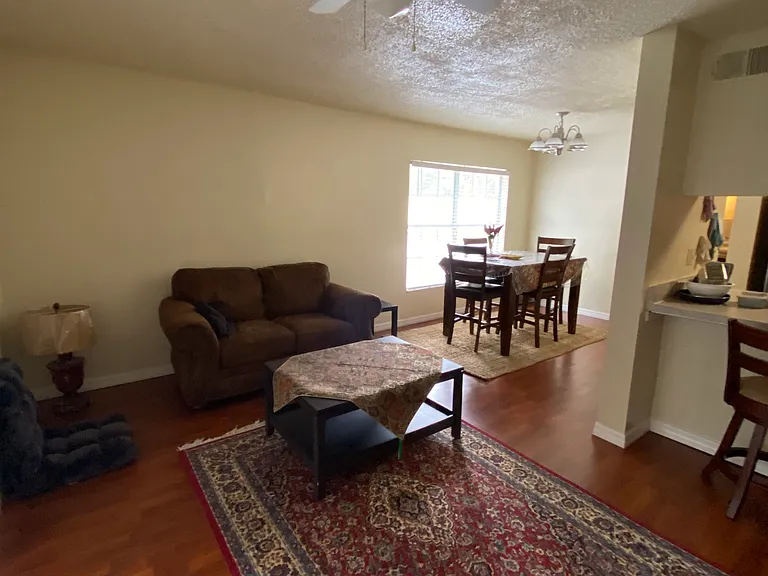 5166 Sunridge Palms Dr — Photo 5