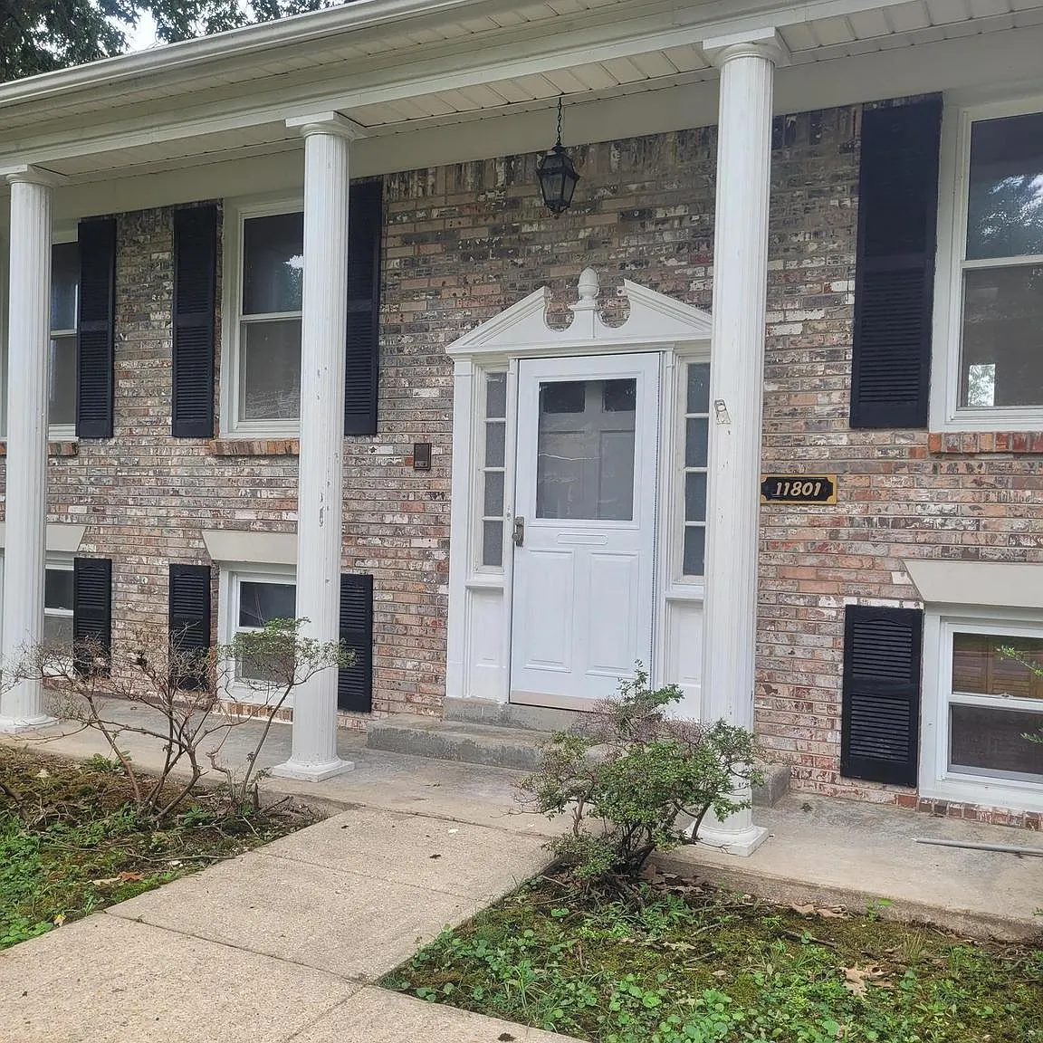5 bed, 1680 sqft, $3,800 — Photo 1
