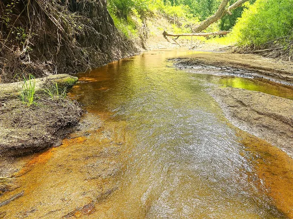 0 Fm 2749, Thornton, TX 76687