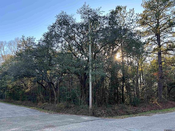 3rd image of Tba Vis