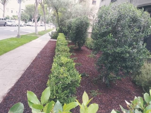 Beautiful maintained landscape