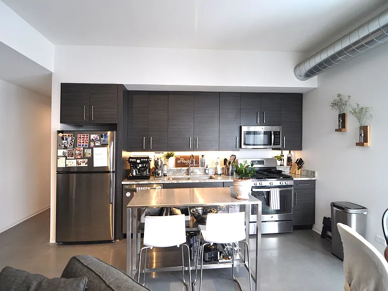 Wicker Park Lofts- 1515 W. Haddon Ave — Photo 11