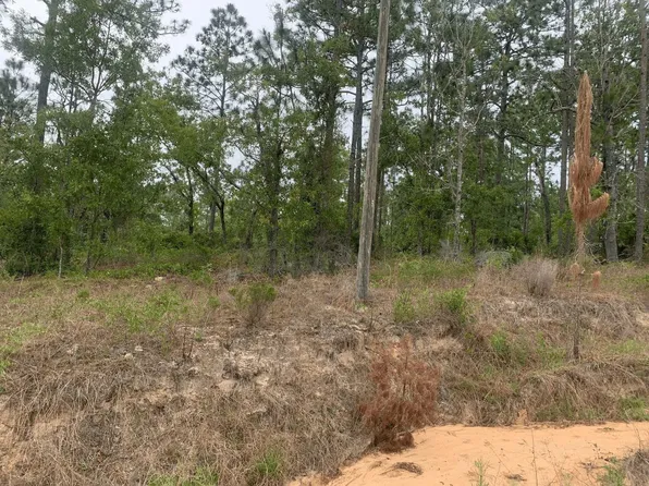 0 Akron Street, Interlachen, FL 32148