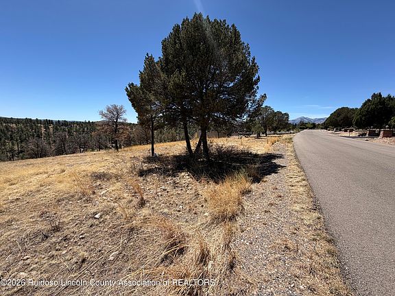 2nd image of LOT-60B Bobby Jones Ct