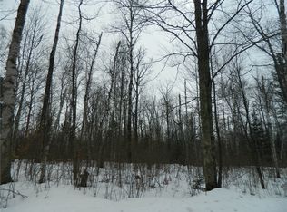 0 N Birch Lake Rd, Winter, WI 54896
