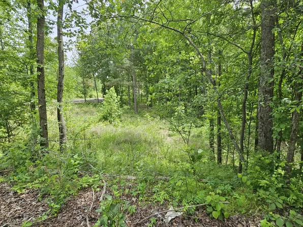 104 Sidney Baird Rd, Bradford, TN 38316