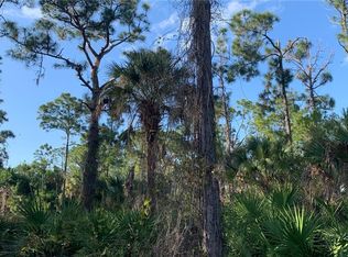 Xxx 16th Ave NE, Naples, FL 34120