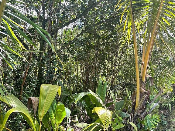 5th image of Pahoa Rd Lot 1308