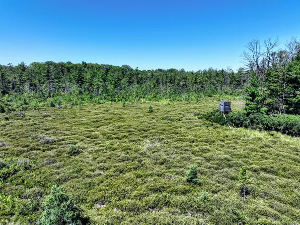 Vl Orchard Rd Lot Wp001, Delton, MI 49046