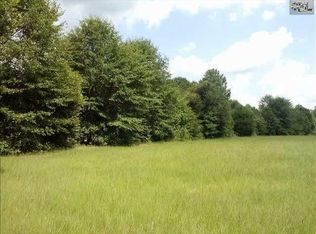 1129 Brodie Rd, Leesville, SC 29070