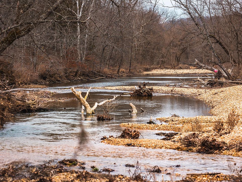 176 Rocky Rise Loop, Fordland, MO 65652 Zillow