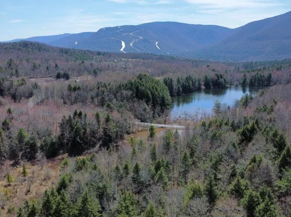 0 Ford Hill Road, Jewett, NY 12444