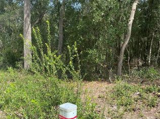 3355 S Pelican Ave, Inverness, FL 34450