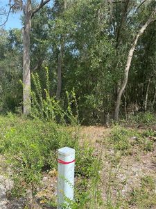 3355 S Pelican Ave, Inverness, FL, 34450