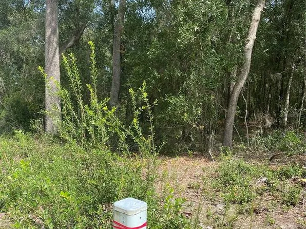 3355 S Pelican Ave, Inverness, FL 34450