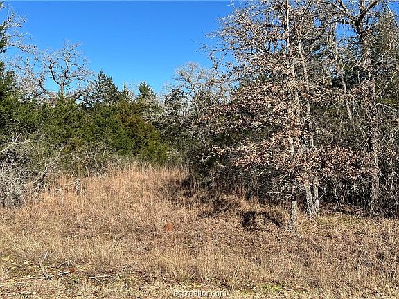 5th image of 209 Mesquite Trl
