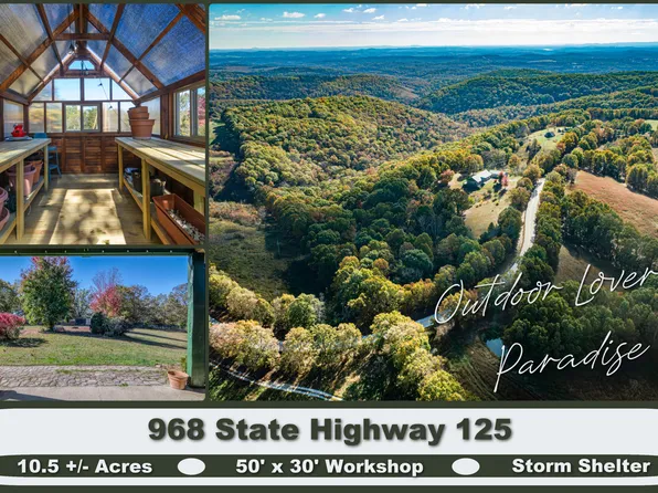 968 N State Highway 125, Rueter, MO 65744