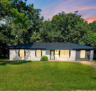 400 NW Canterbury Farm Rd, Midland City, AL, 36350