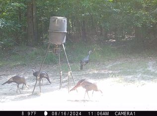 37988 Oakey Streak Rd, Dozier, AL 36028