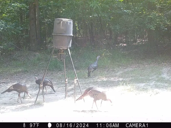 37988 Oakey Streak Rd, Dozier, AL 36028