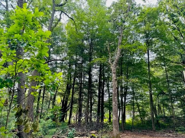 0 Coyote Ln, Tionesta, PA 16353