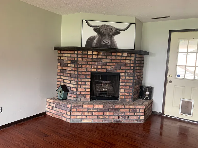 fireplace in lower level living space