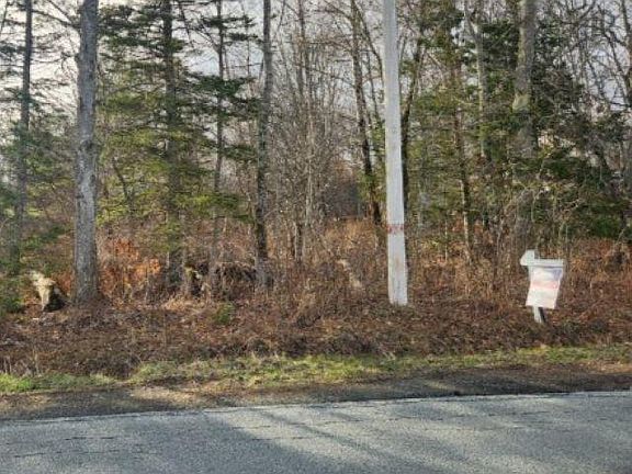 2nd image of Cedar Rd
