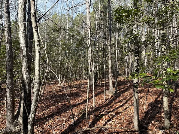 0 Mill Quarter Rd, Ford, VA 23850