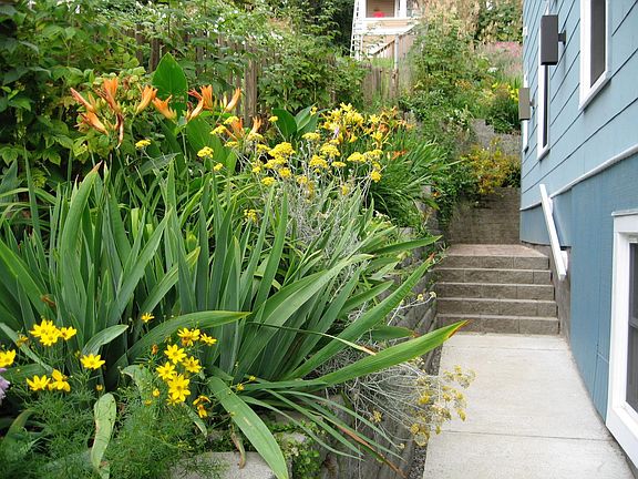 Side yard to rear entrance.