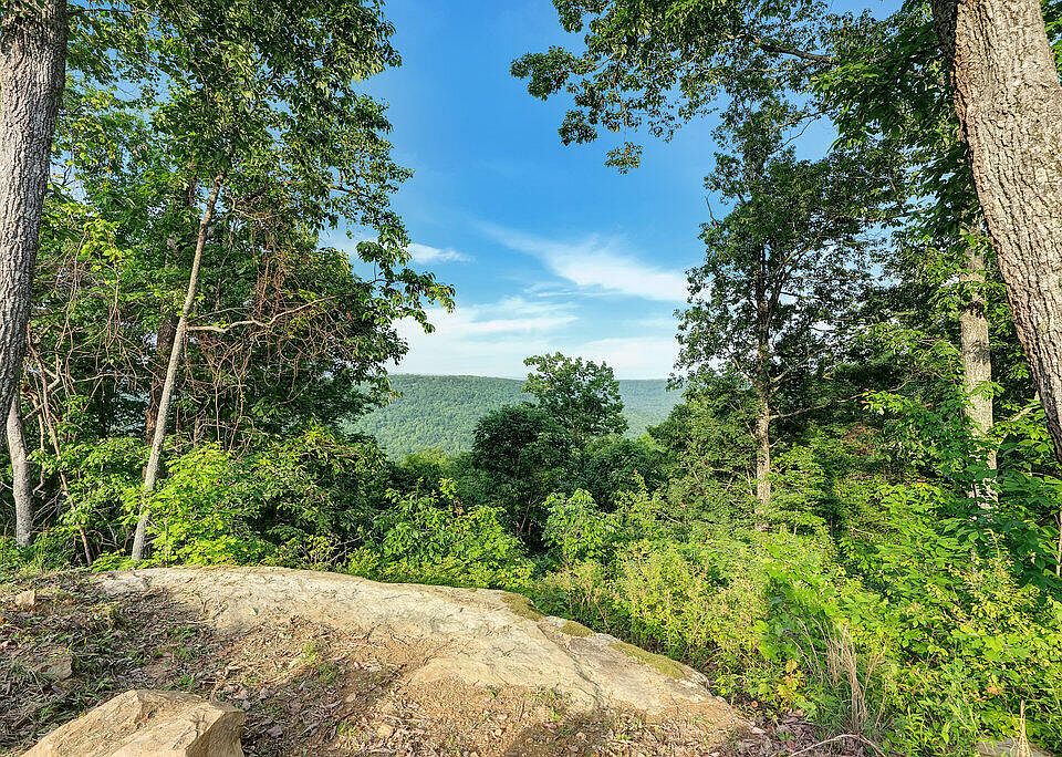 34th image of this home