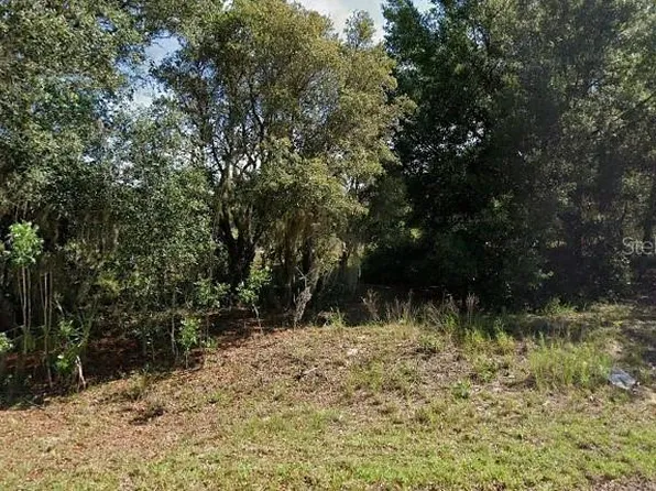 Malauka Loop Lot 5, Ocklawaha, FL 32179