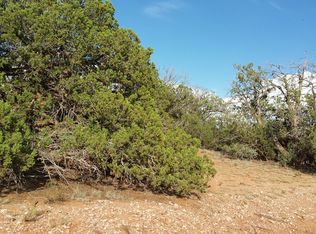 56620 N Bearclaw Rd, Seligman, AZ 86337